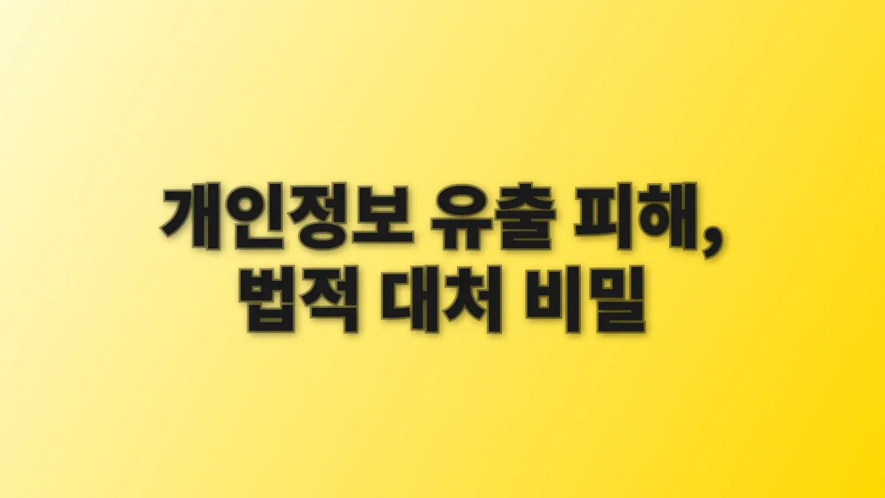 개인정보 유출 피해, 법적 대처 비밀
